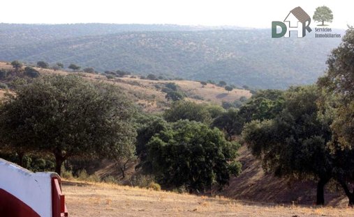 Terreno a Cáceres, Estremadura, Spagna 1