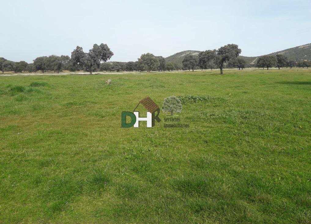 Land in Ciudad Real, Kastilien-La Mancha, Spanien 5 - 14411644