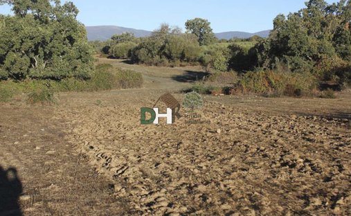 Land in Cáceres, Extremadura, Spain 1