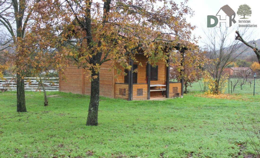 Bungalow in Rebollar, Extremadura, Spain 4 - 13111468