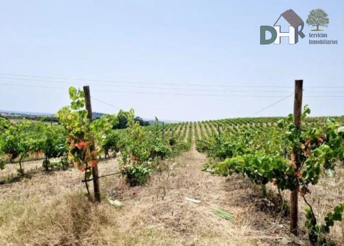 Land in Spain 2 - 13111479