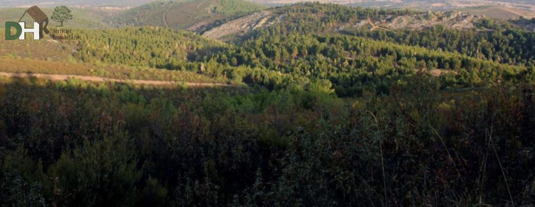 Land in Cáceres, Extremadura, Spain 1 - 13111312