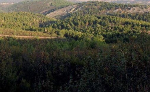 Land in Cáceres, Extremadura, Spain 1