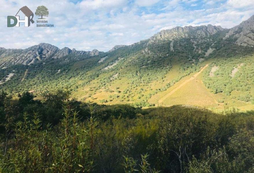 Land in Cáceres, Extremadura, Spain 2 - 15344793