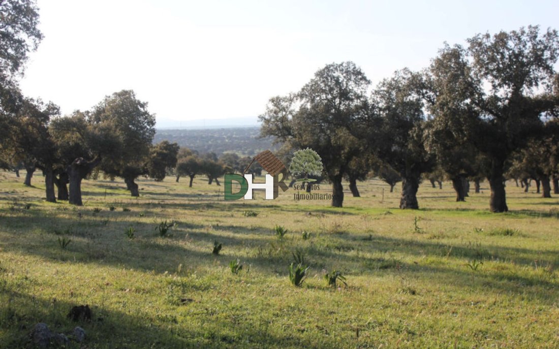 Land in Cáceres, Extremadura, Spain 5 - 13111469
