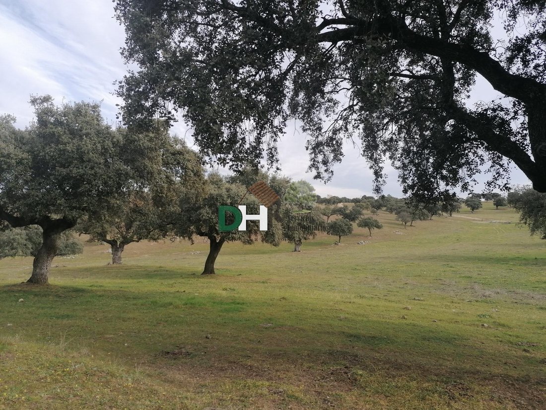 Land in Cáceres, Extremadura, Spain 2 - 13111272