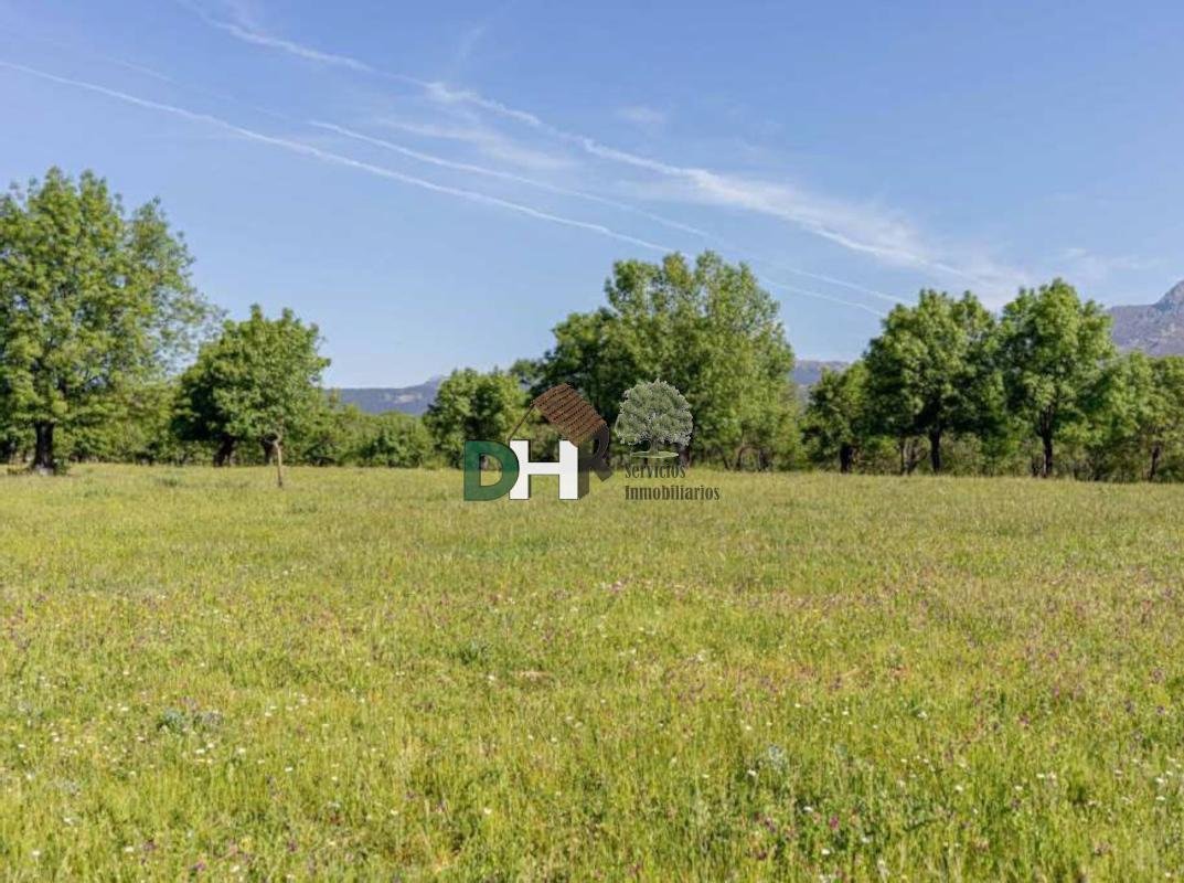 Land in Fuencarral-El Pardo, Madrid, Spain 4 - 15083070