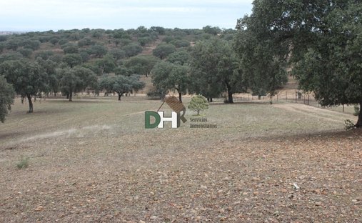 Terreno a Badajoz, Estremadura, Spagna 1
