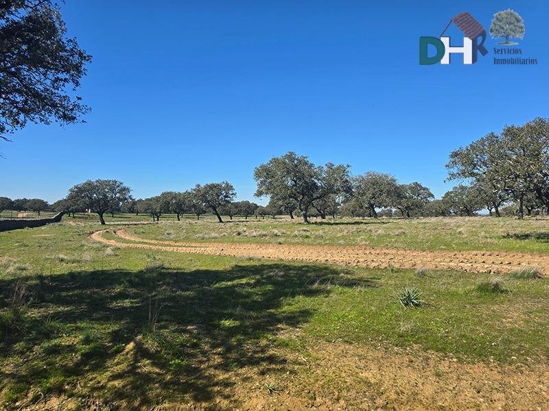 Land in Cáceres, Extremadura, Spain 3 - 17306191