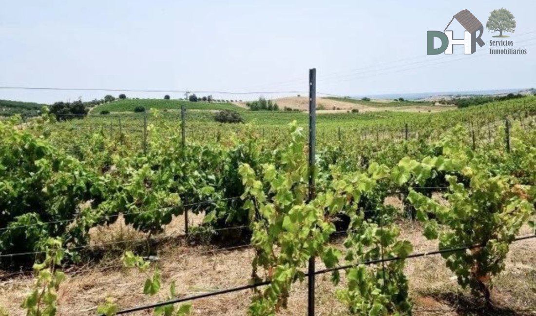 Land in Spain 1 - 13111479