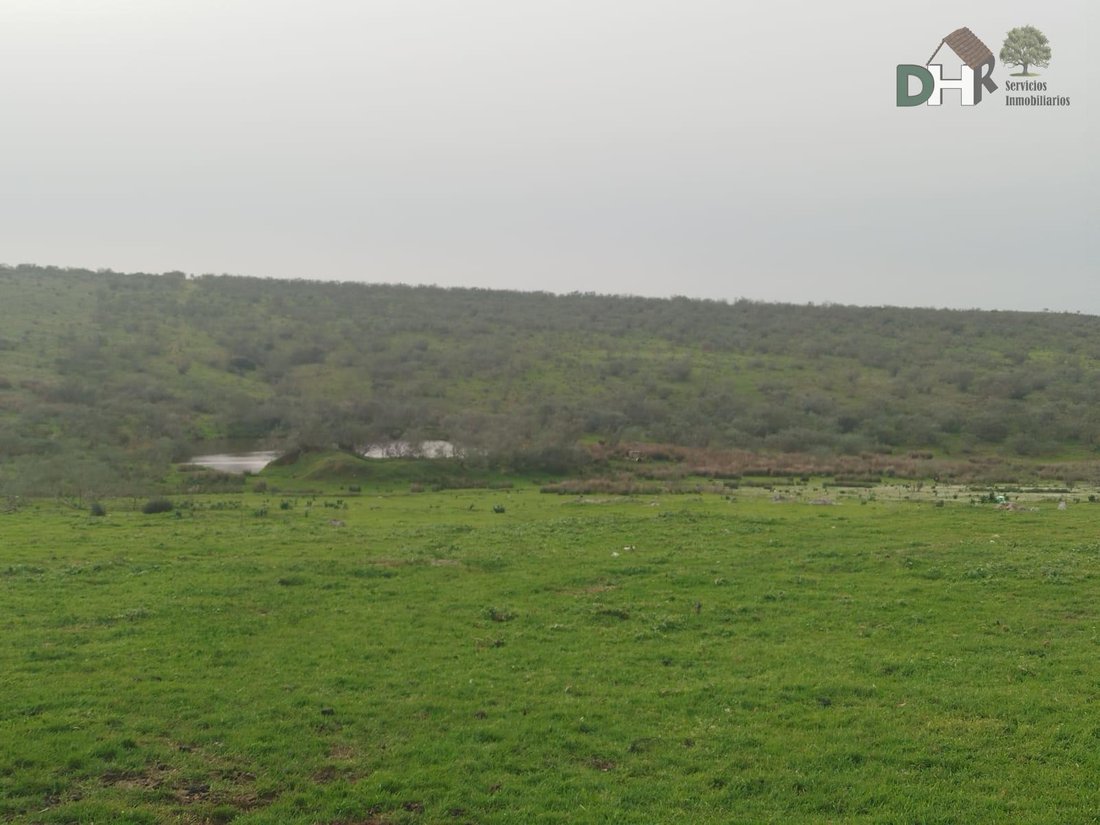 Land in Cáceres, Extremadura, Spanien 3 - 17458863