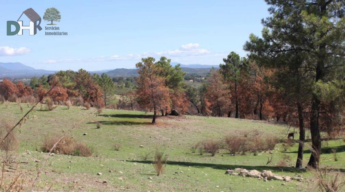 Land in Cáceres, Extremadura, Spain 1 - 13111458