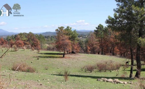Land in Cáceres, Extremadura, Spanien 1