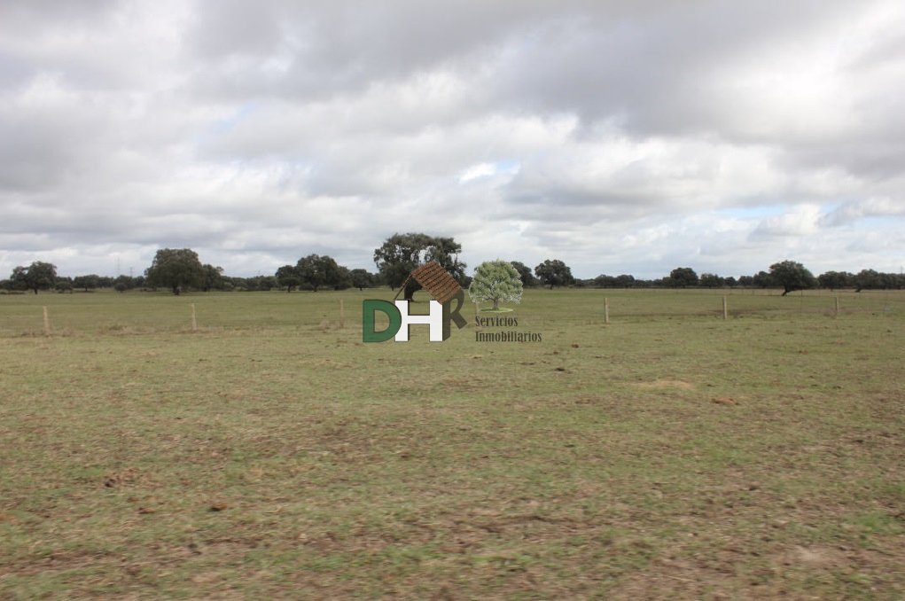 Land in Cáceres, Extremadura, Spain 3 - 13453741