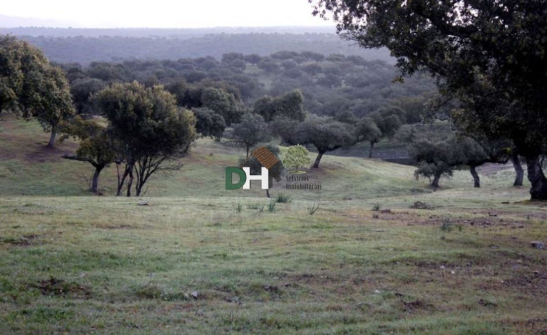Land in Cáceres, Extremadura, Spain 2 - 13111356