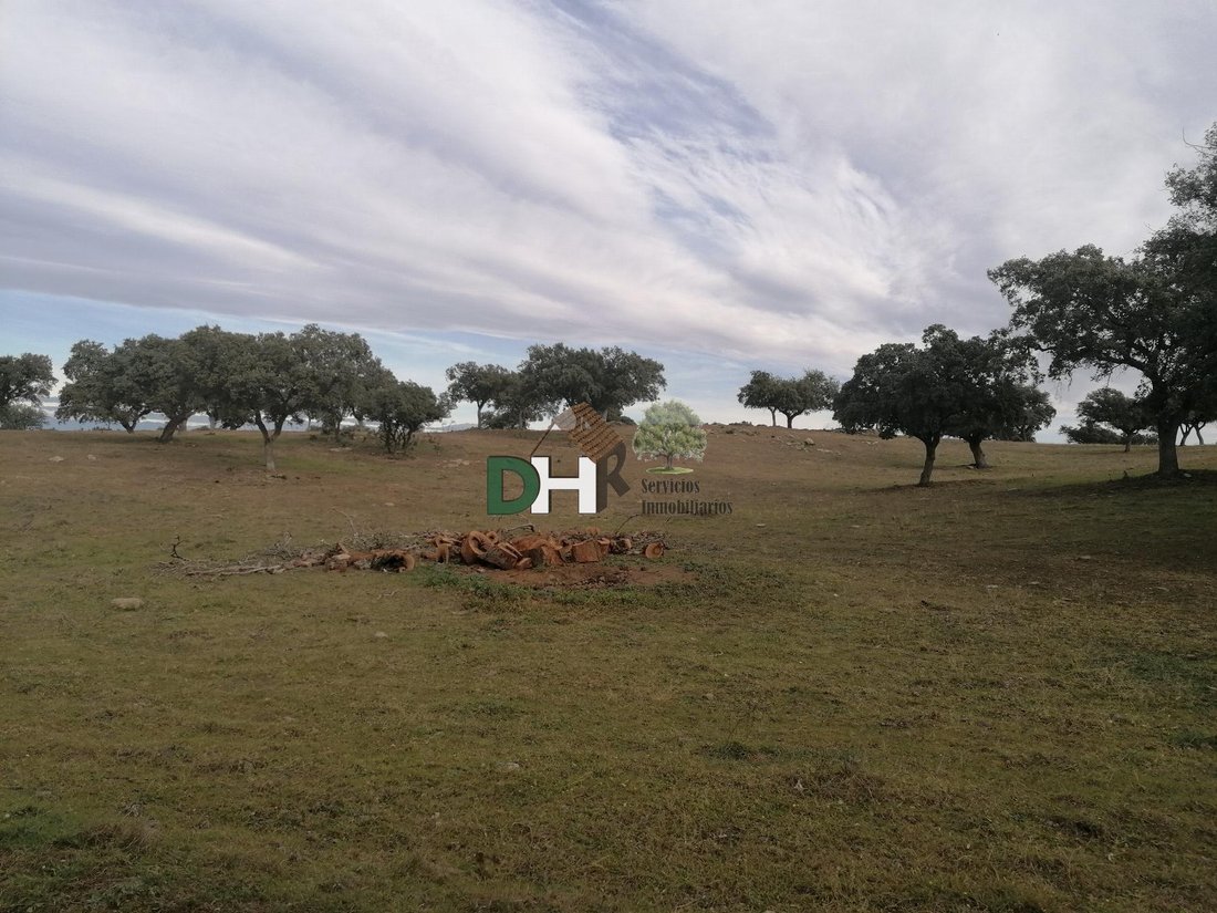 Land in Cáceres, Extremadura, Spain 5 - 13111272