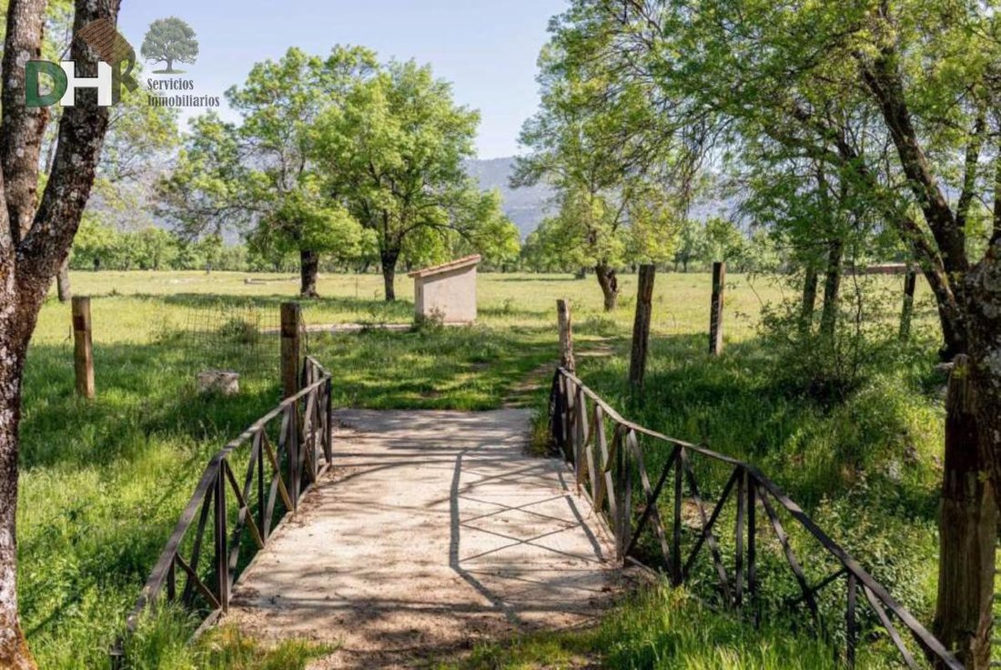Land in Fuencarral-El Pardo, Madrid, Spain 3 - 15083070