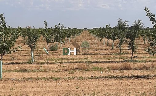 Terreno a Miguelturra, Castiglia-La Mancia, Spagna 1