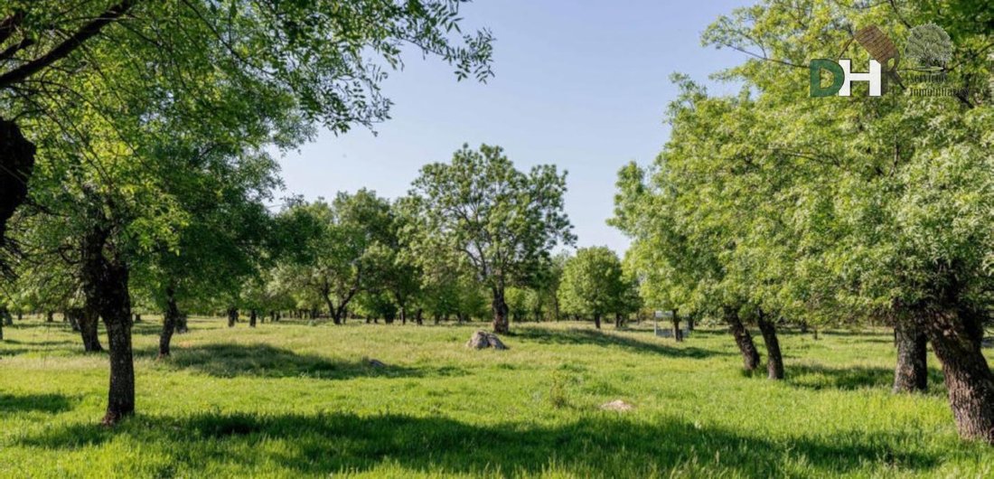 Land in Fuencarral-El Pardo, Madrid, Spain 1 - 15083070