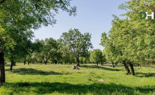 Land in Fuencarral-El Pardo, Madrid, Spain 1