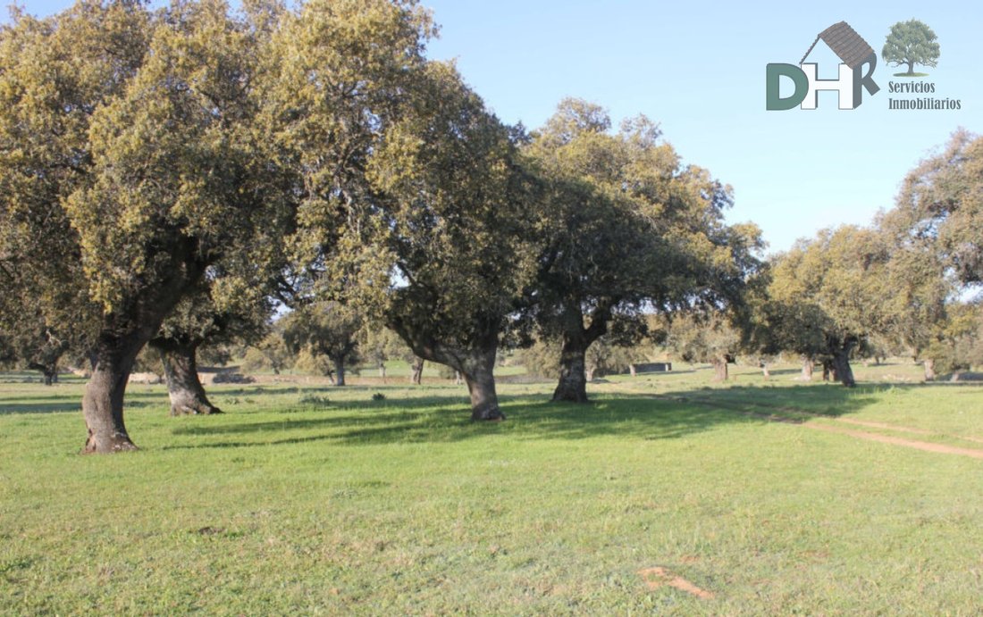 Land in Cáceres, Extremadura, Spain 3 - 13111469