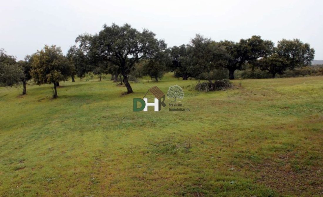 Land in Cáceres, Extremadura, Spain 3 - 13111356