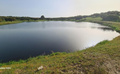 Land in Cáceres, Extremadura, Spain 1