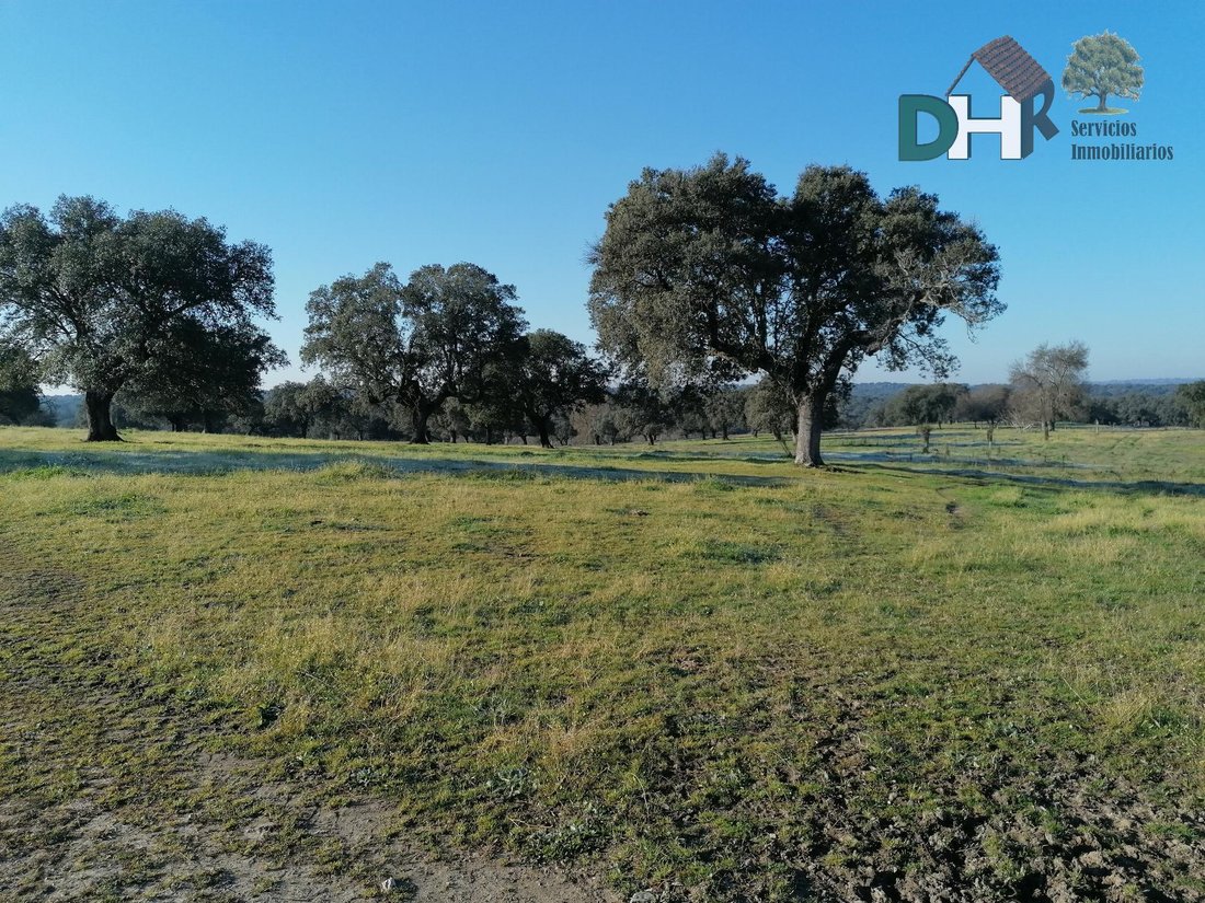 Land in Cáceres, Extremadura, Spain 1 - 15078042