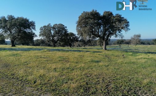 Land in Cáceres, Extremadura, Spanien 1