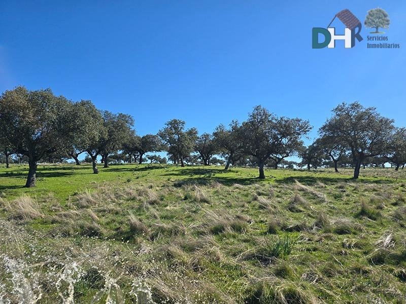 Land in Cáceres, Extremadura, Spain 1 - 17306191