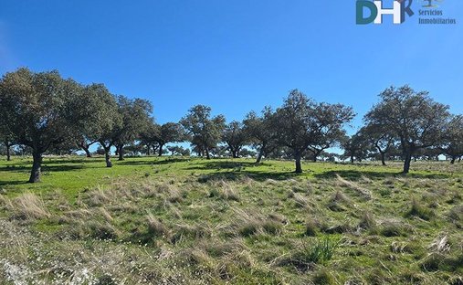Terreno a Cáceres, Estremadura, Spagna 1