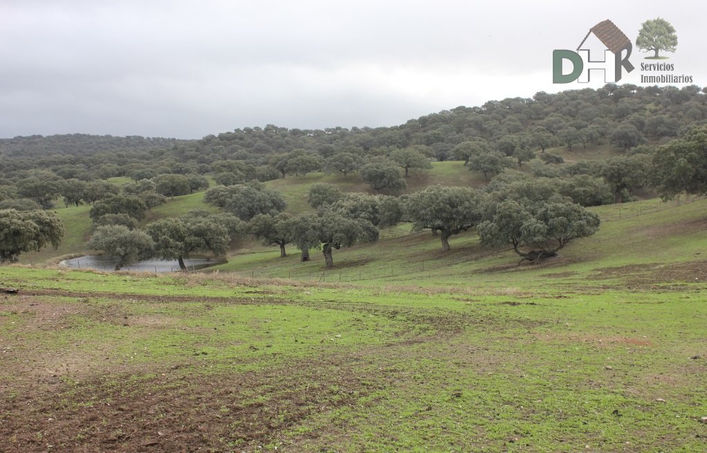Land in Cáceres, Extremadura, Spain 1 - 13438644