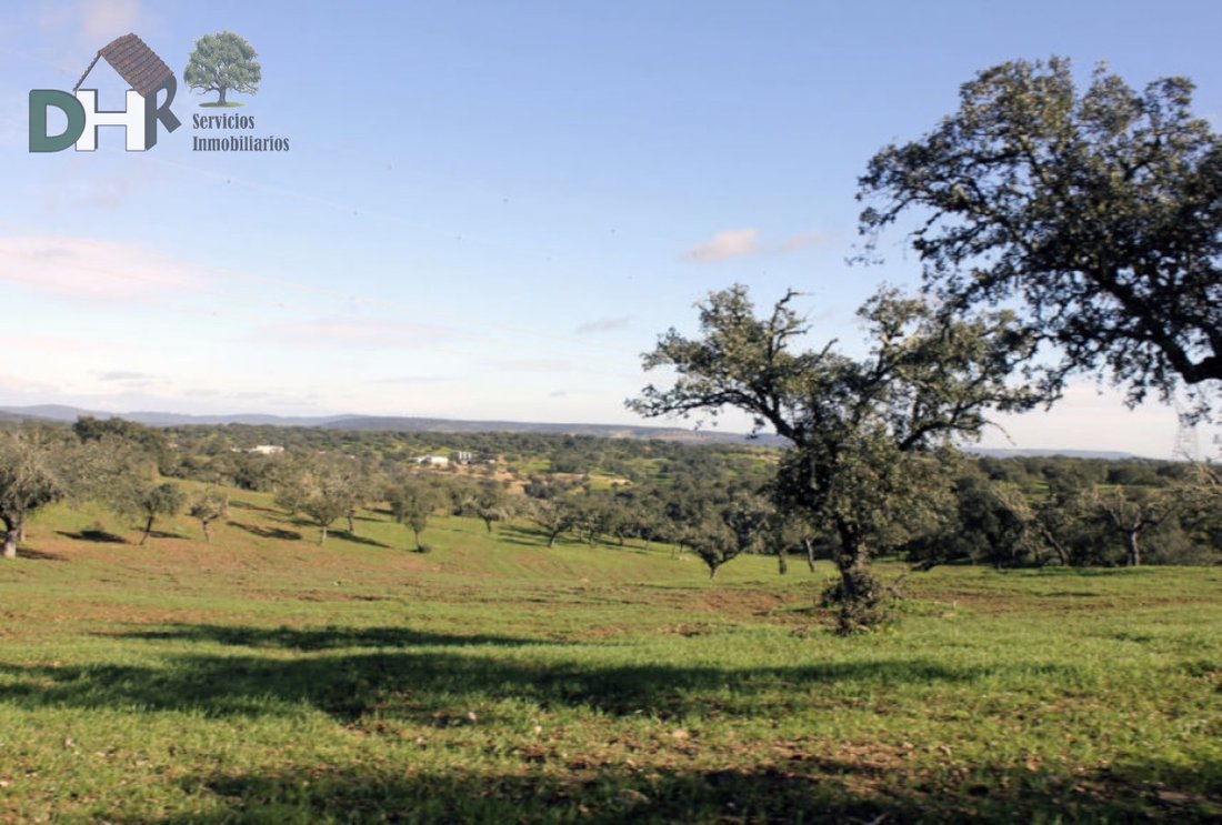 Land in Cáceres, Extremadura, Spain 2 - 13111443