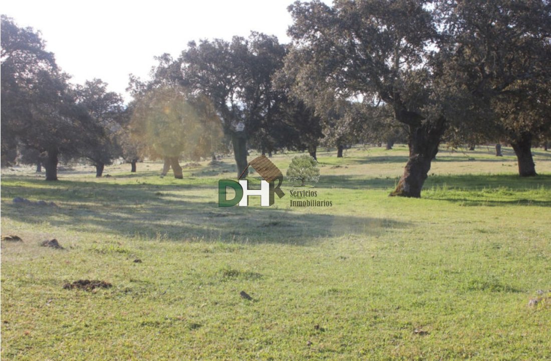 Land in Cáceres, Extremadura, Spain 4 - 13111469