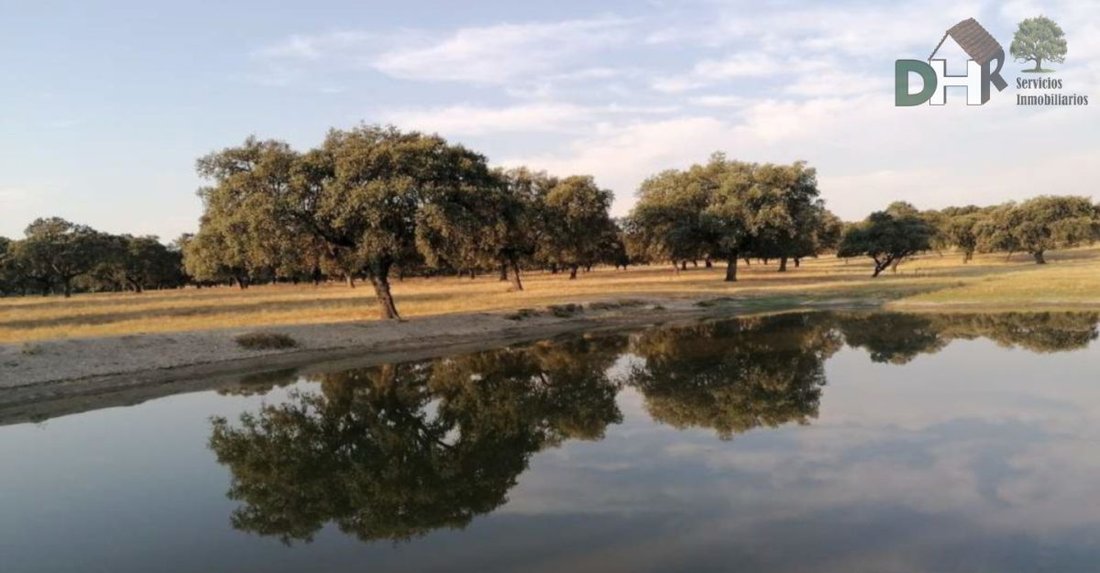 Land in Cáceres, Extremadura, Spain 1 - 13111303
