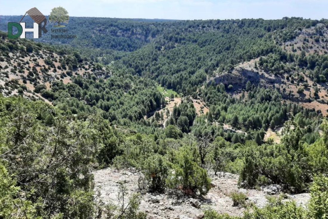 Terrain à Cuenca, Castille-La Manche, Espagne 4 - 14872652