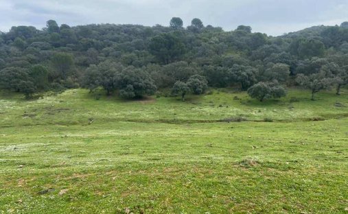 Terreno a Cordova, Andalusia, Spagna 1
