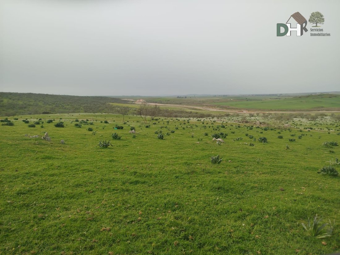 Land in Cáceres, Extremadura, Spanien 5 - 17458863