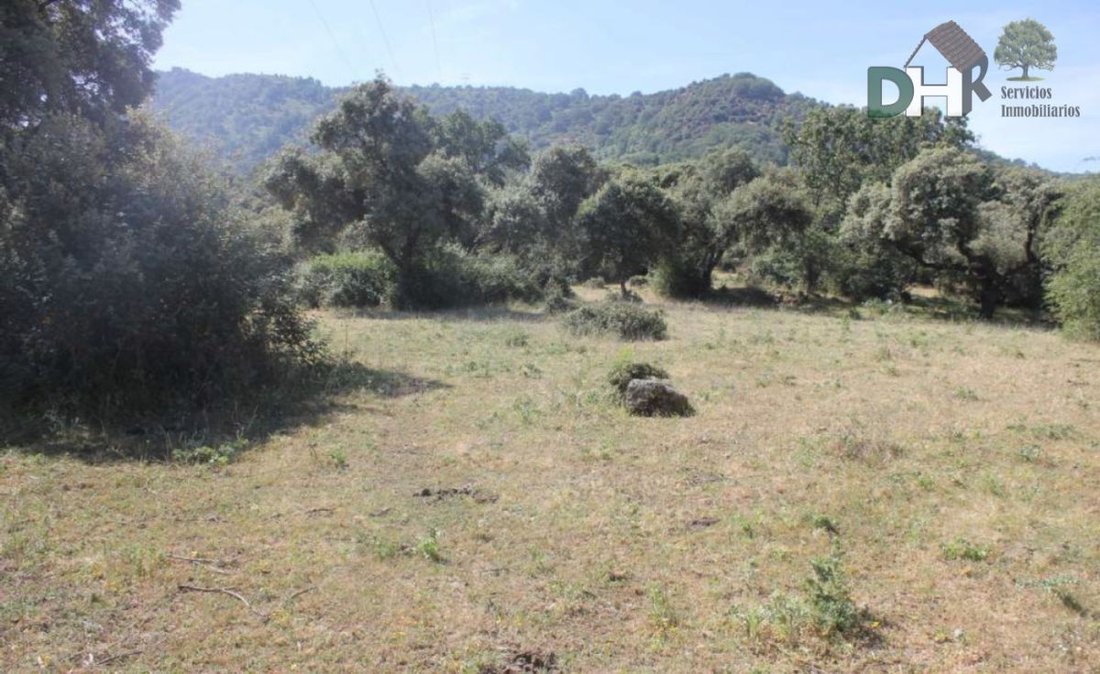 Land in Cáceres, Extremadura, Spain 5 - 13111448