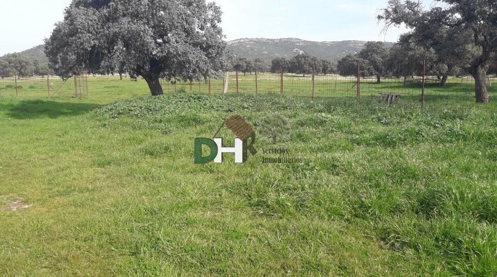 Land in Ciudad Real, Kastilien-La Mancha, Spanien 4 - 14411644