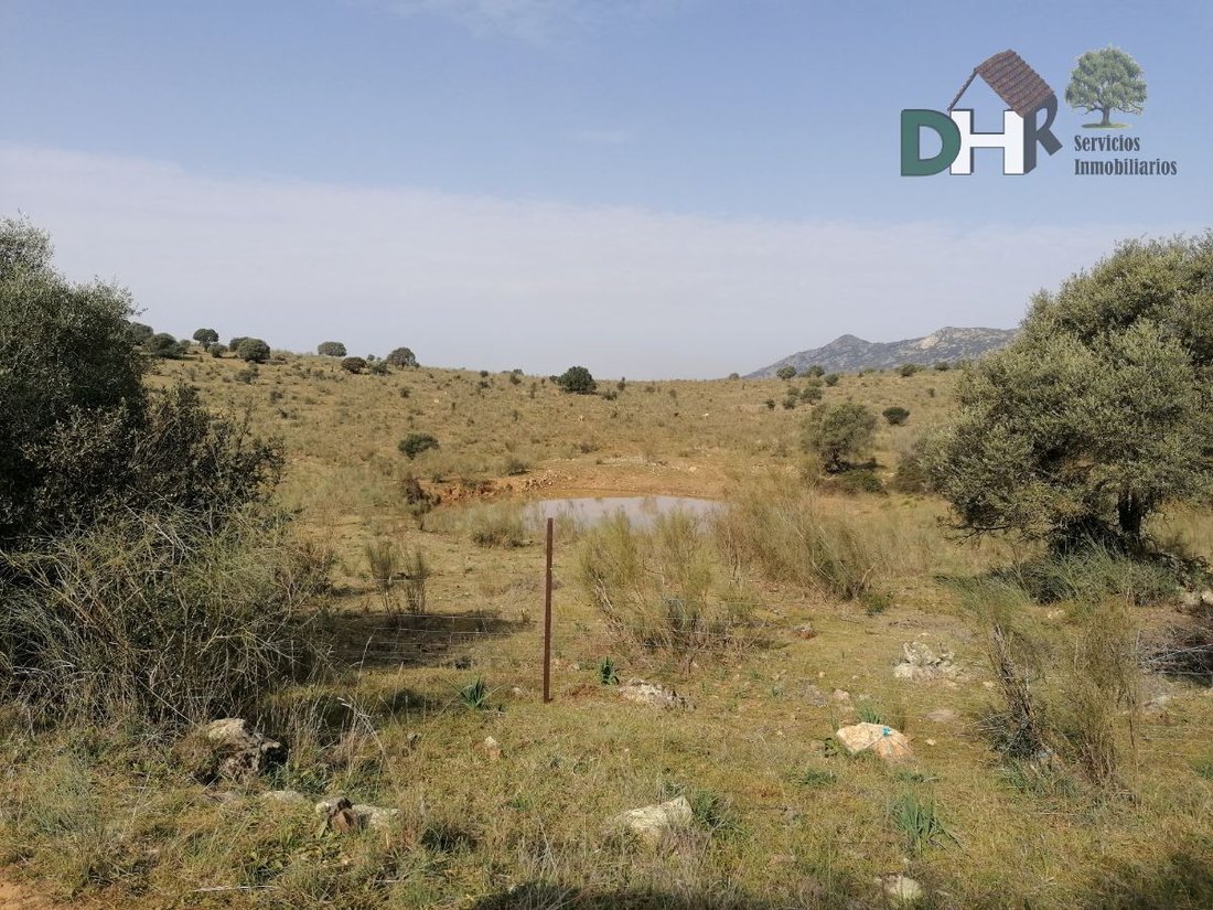 Land in Badajoz, Extremadura, Spain 2 - 13111438