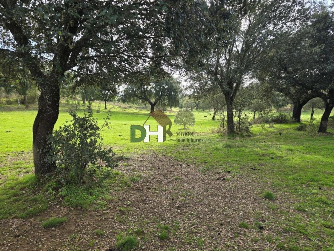 Terrain à Cáceres, Estrémadure, Espagne 4 - 14975370
