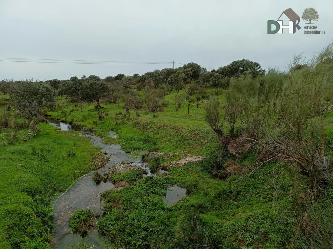 Land in Cáceres, Extremadura, Spain 4 - 14967067