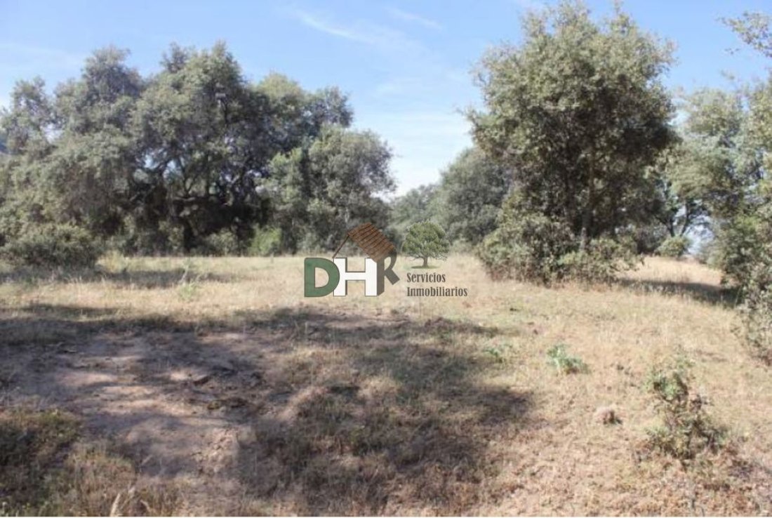 Land in Cáceres, Extremadura, Spain 4 - 13111448