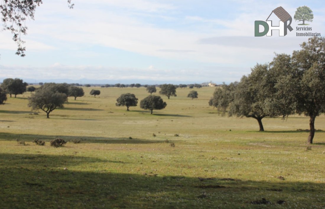 Terrain à Tolède, Castille-La Manche, Espagne 2 - 13111475