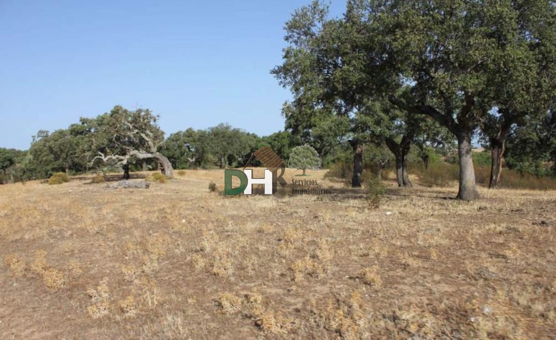 Land in Cáceres, Extremadura, Spain 4 - 13111387
