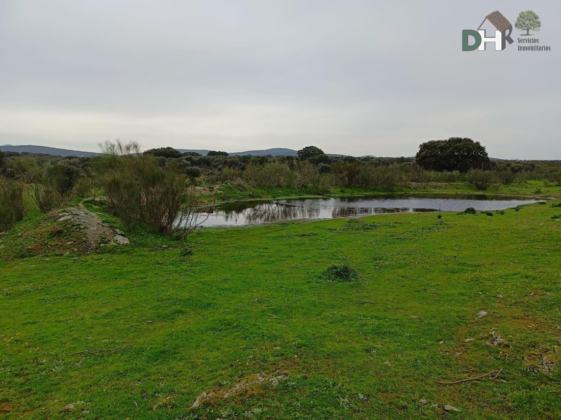 Land in Cáceres, Extremadura, Spain 3 - 14967067
