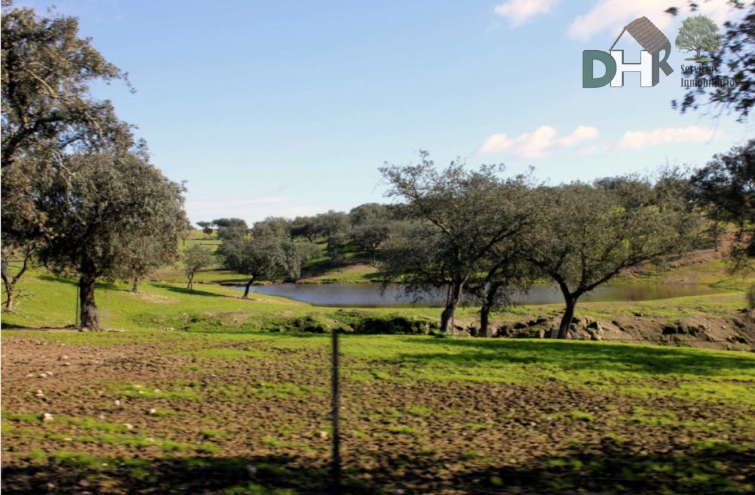 Land in Cáceres, Extremadura, Spain 5 - 13111443