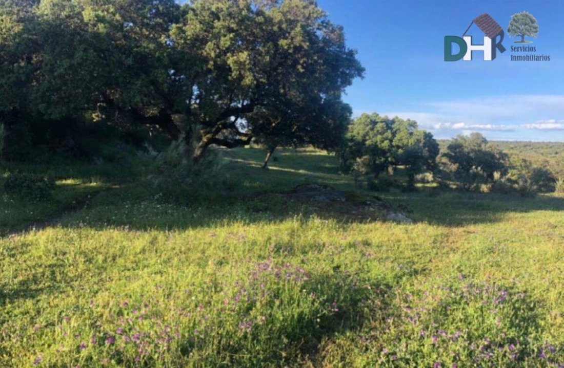 Land in Cáceres, Extremadura, Spain 3 - 13111248