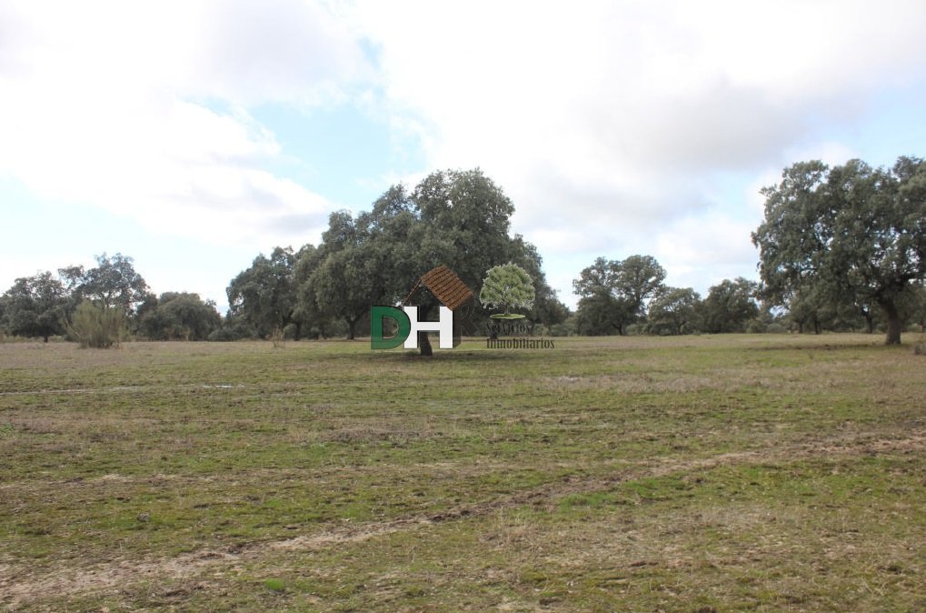 Land in Cáceres, Extremadura, Spain 4 - 13453741